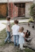 Drei kleine Kinder stehen an einem Maschendrahtzaun und beobachten Hühner in einem Gehege auf einem Bauernhof.