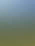 Eine frisch geschnittene Hecke mit einer Leiter davor und Schnittgut auf dem Rasen unter blauem Himmel.