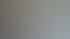 Welche Google Ads-Kampagnentypen eignen sich am besten für lokale Unternehmen?