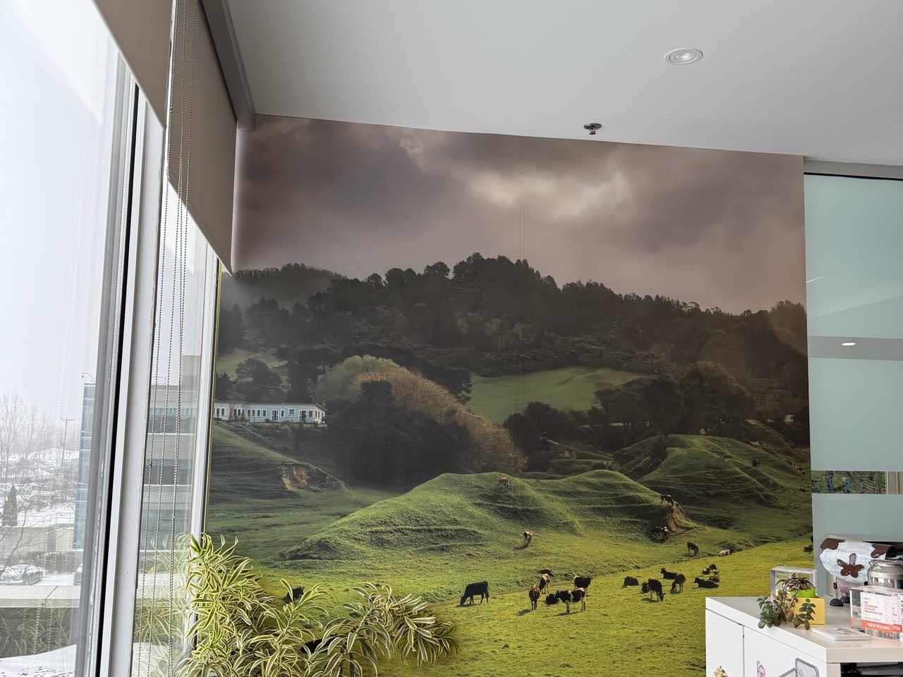 Murale panoramique installée dans un espace de bureaux
