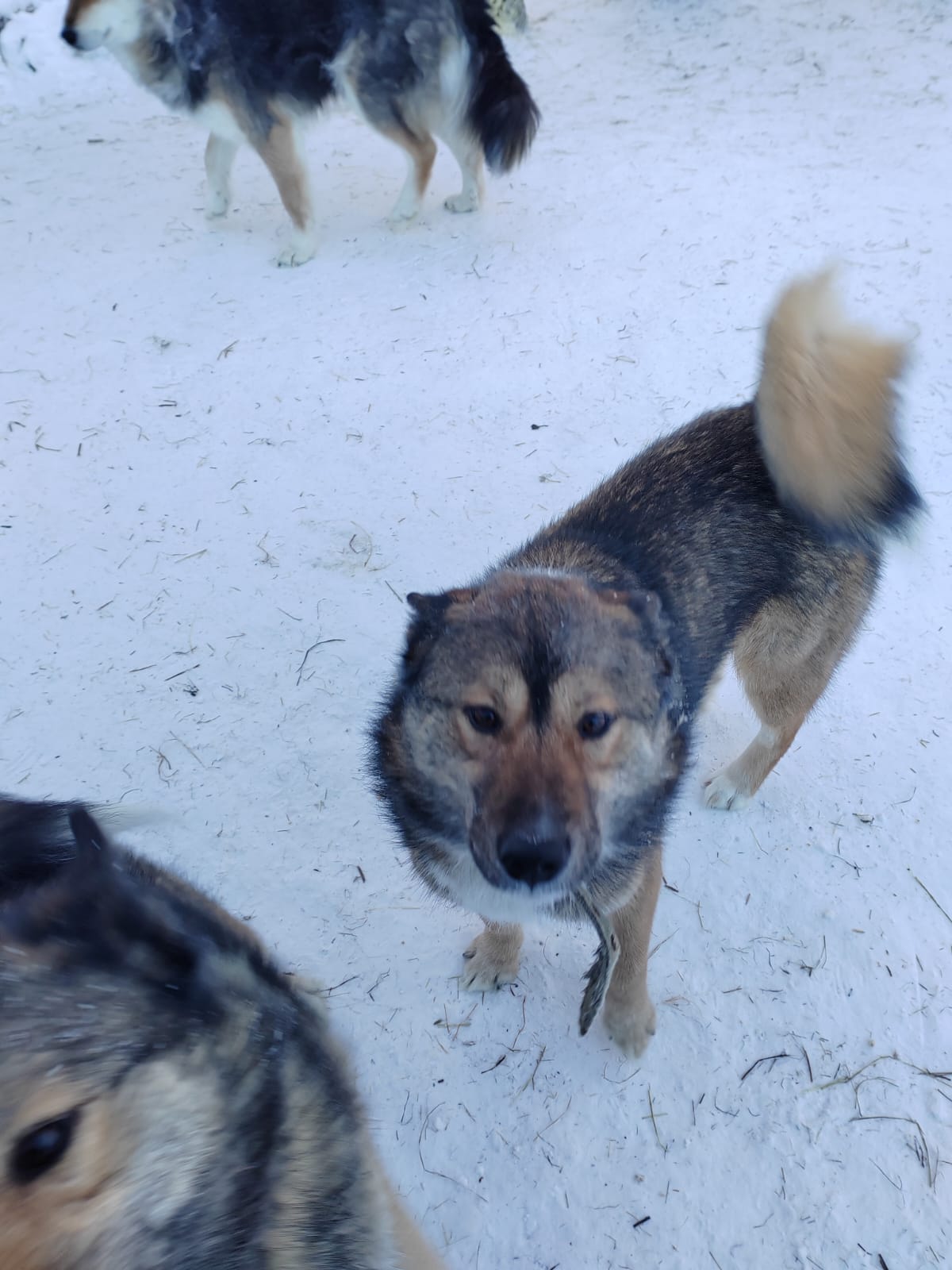 Zeus