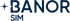 BanorSimScrollLogo