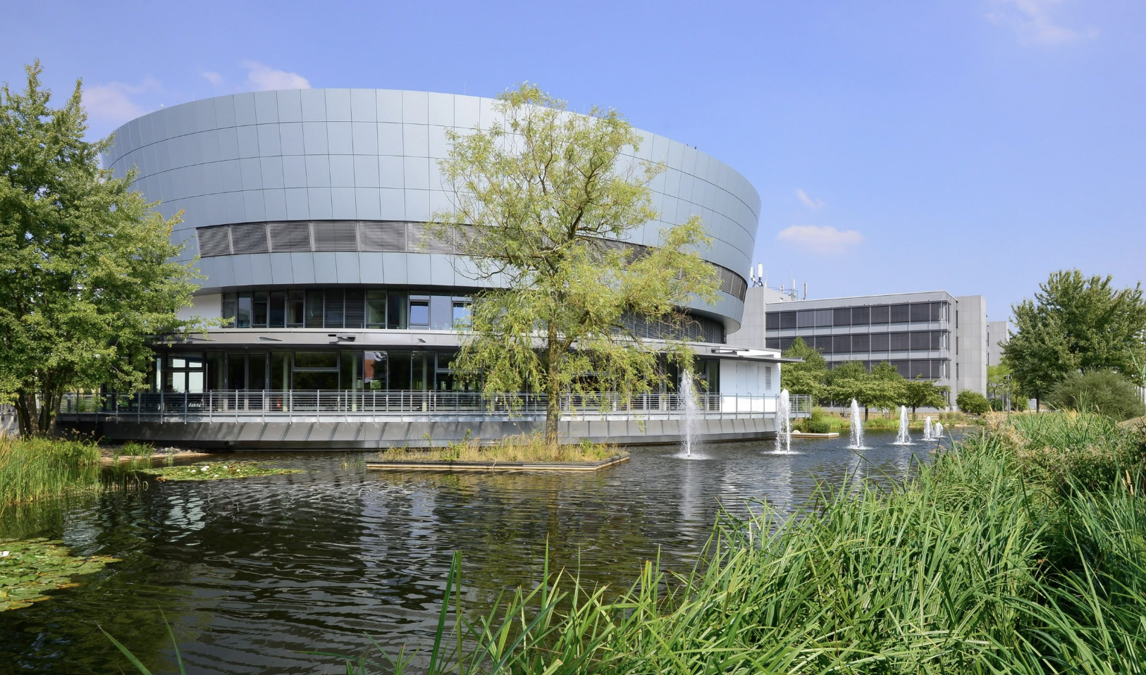 Wachstum & Wolfsburg