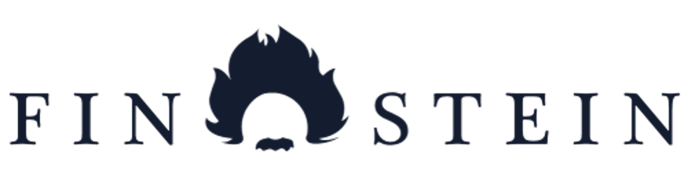 FIN STEIN-Logo mit einer blauen Flamme zwischen den Wortteilen.