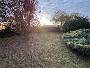 Gartenfläche mit Bäumen und Sträuchern in der Abendsonne