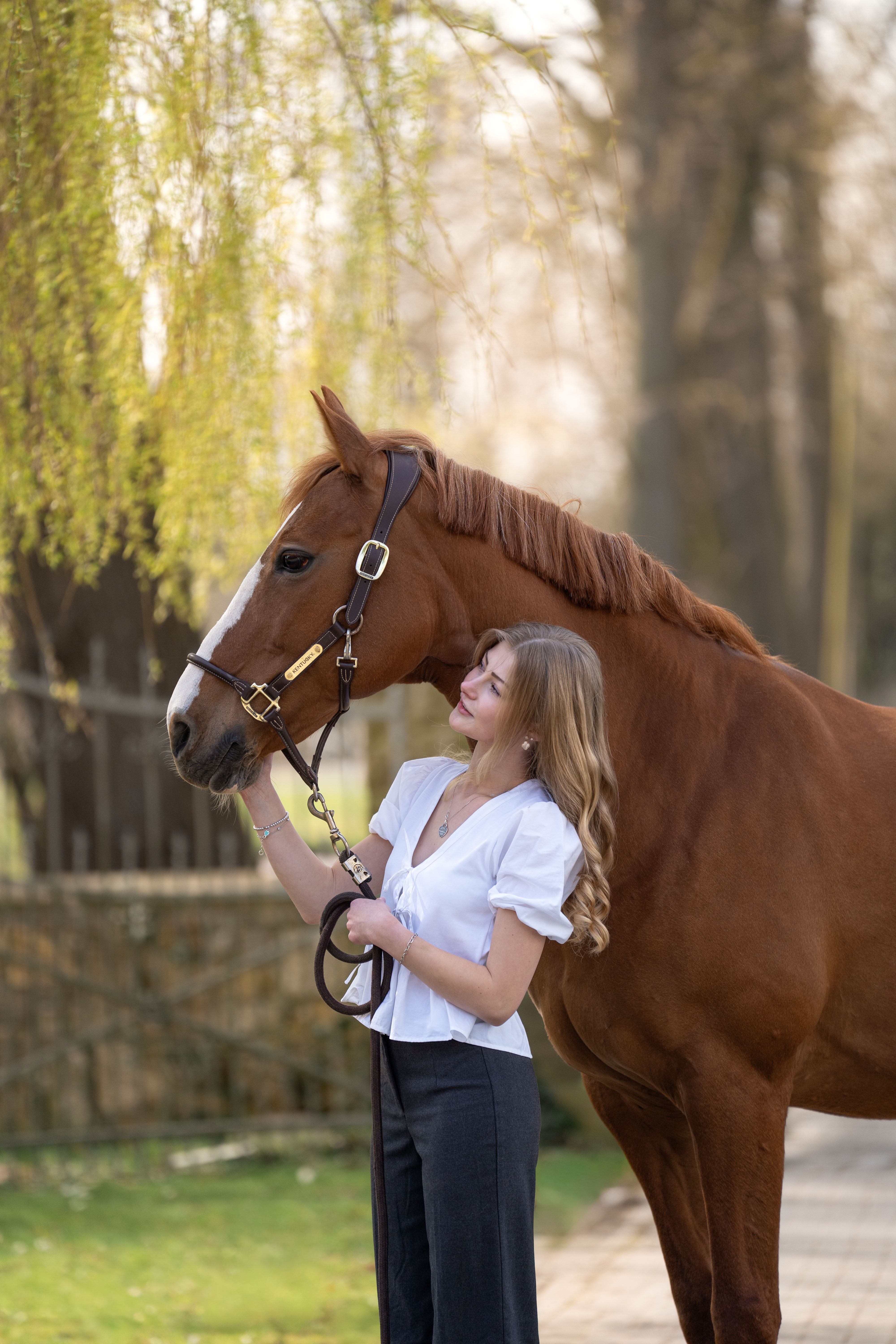 Pferdefotografie von Katharina Middendorp
