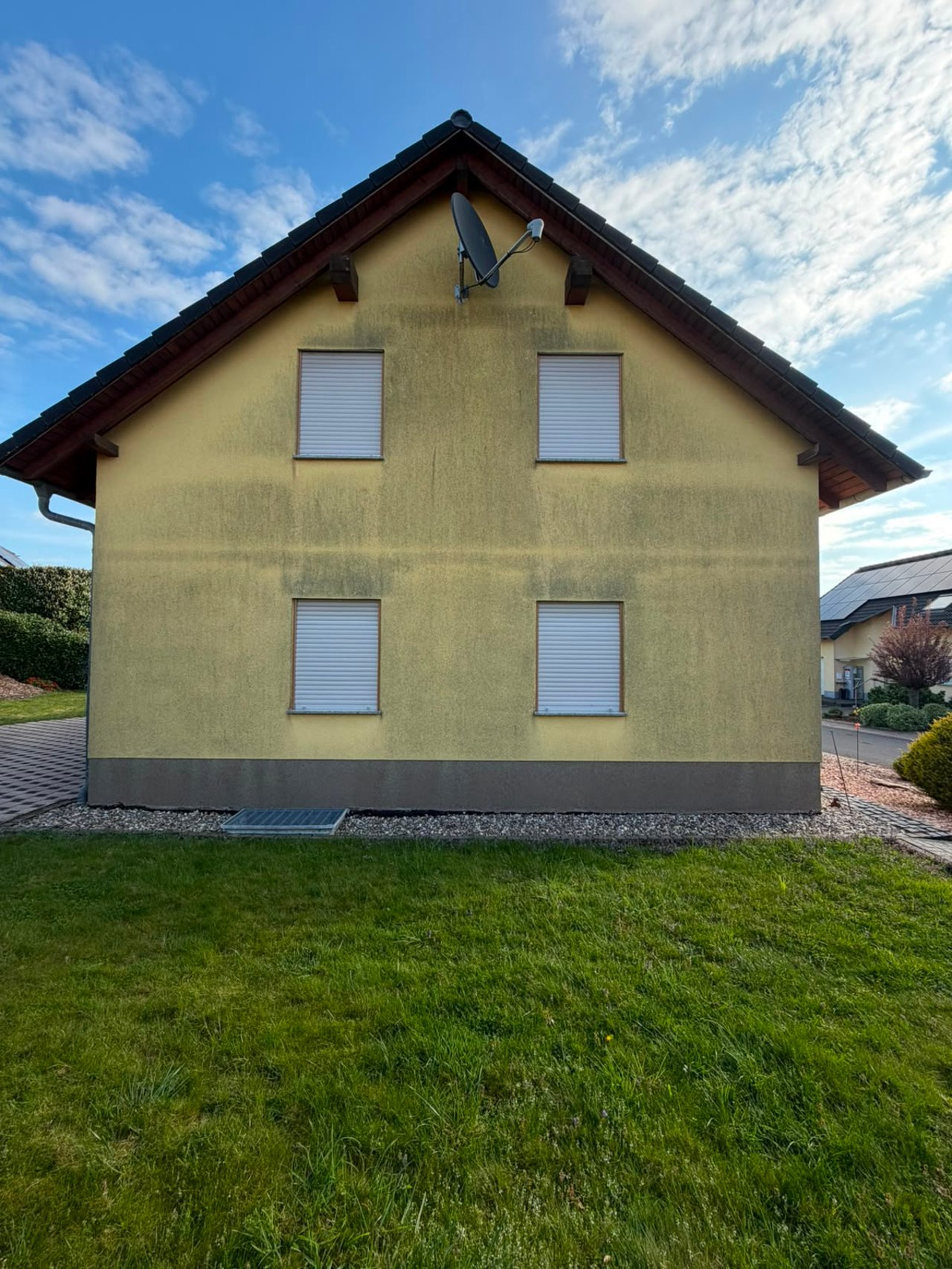 Fassade vor der Reinigung mit Algen und Verschmutzungen