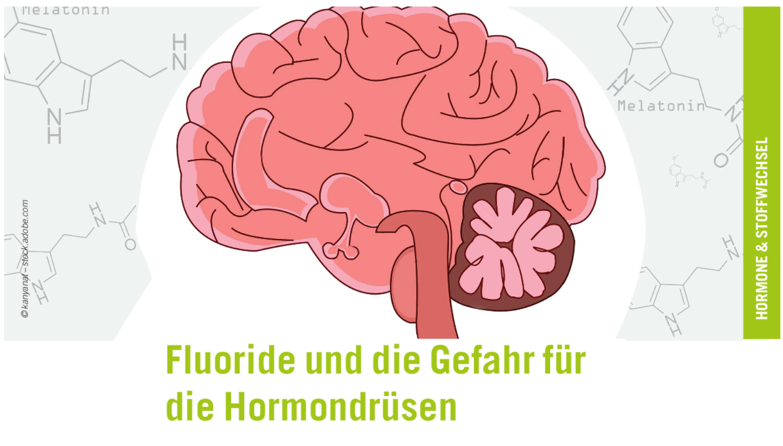 Fluoride: Die unterschätzte Gefahr für Ihre Hormondrüsen?