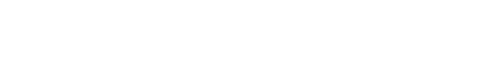 Weißes WISOTZKY-Logo