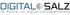 DIGITAL SALZ Logo mit Zahnrad-Symbol und Text "Ihr Partner für Digitalisierungsberatung".