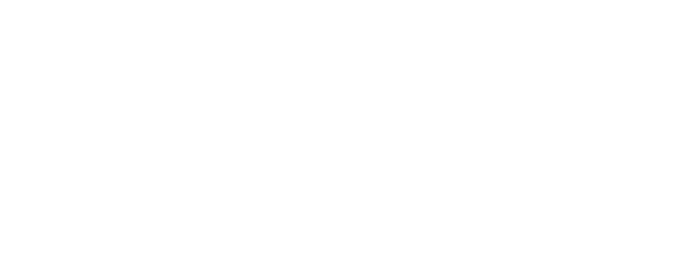 Hair Skin Soul Logo — Referenz Werbefotografie Veropalumbo Studio