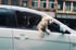 Ein kleiner, heller Hund lehnt sich aus dem offenen Fenster eines weißen Autos während der Fahrt.