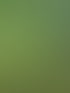 Hausmeisterservice Michelstadt | Ens Hausmeisterservice