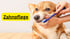 Ein lächelnder Mann macht ein Herzsymbol mit seinen Händen neben zwei Hunden; Text: "PRODUKTWELT".