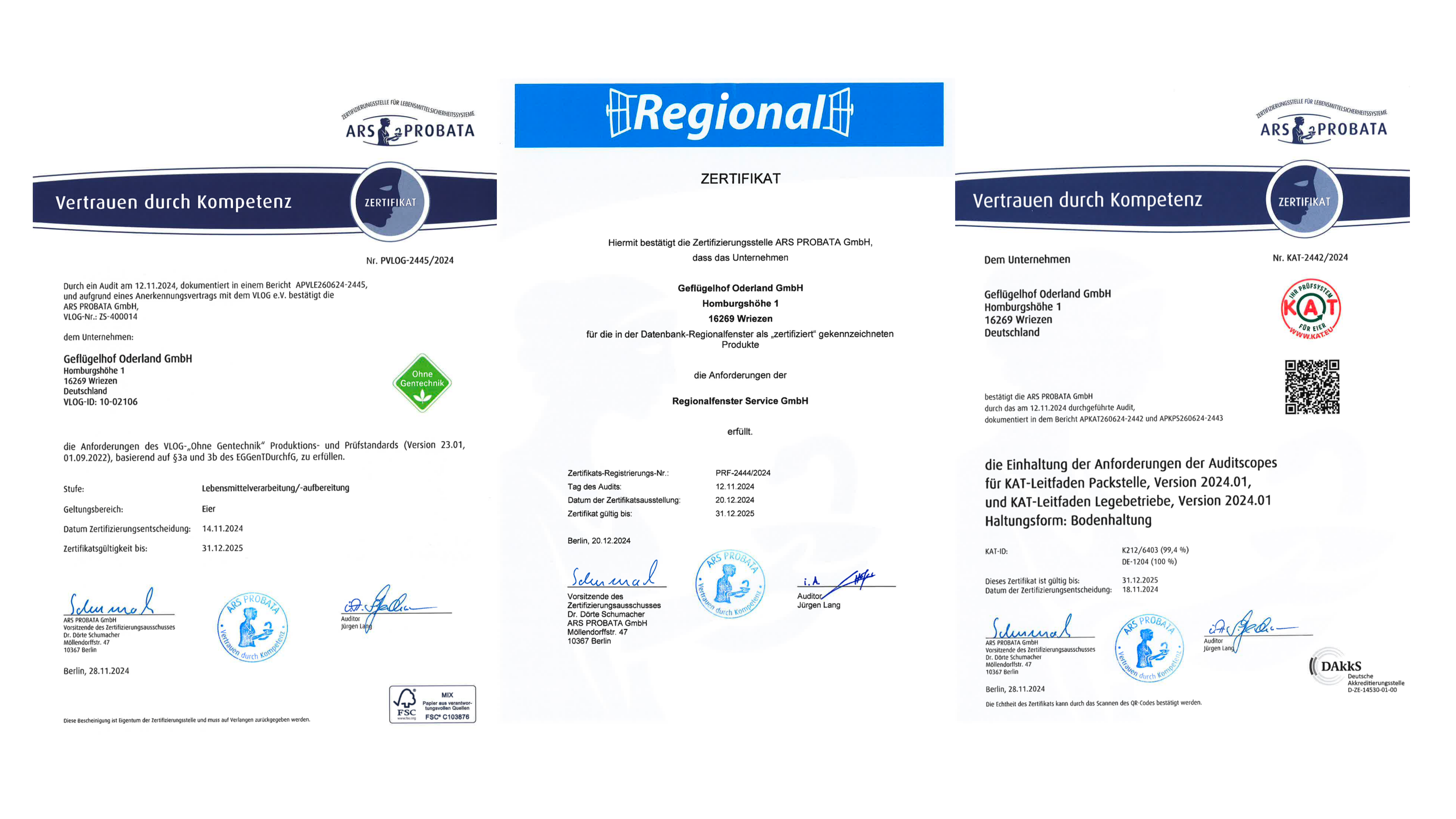 Design ohne Titel (2).png