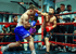 Zwei Boxer im Ring, der rechte Boxer schlägt den linken Boxer ins Gesicht.