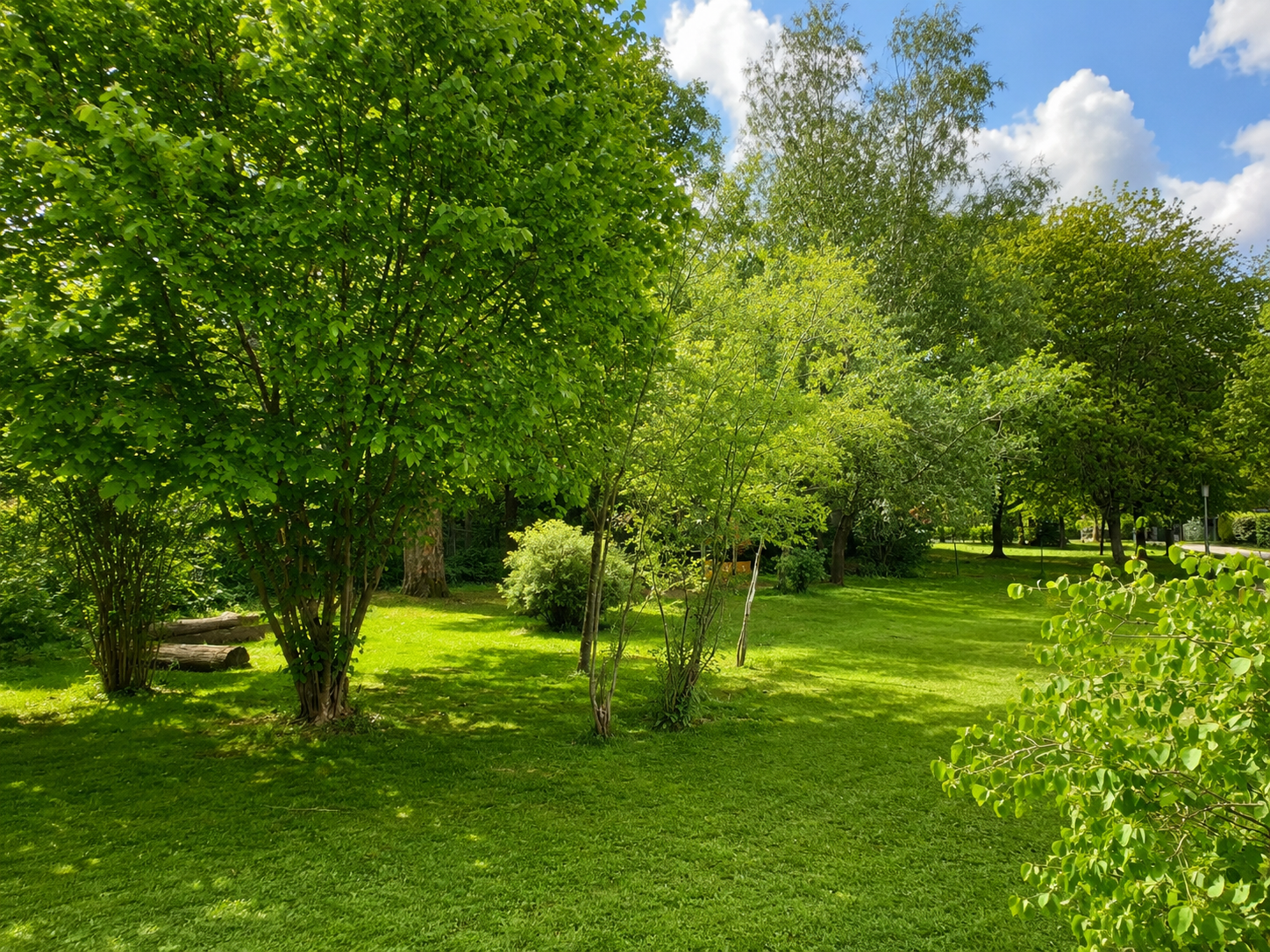 Im Garten