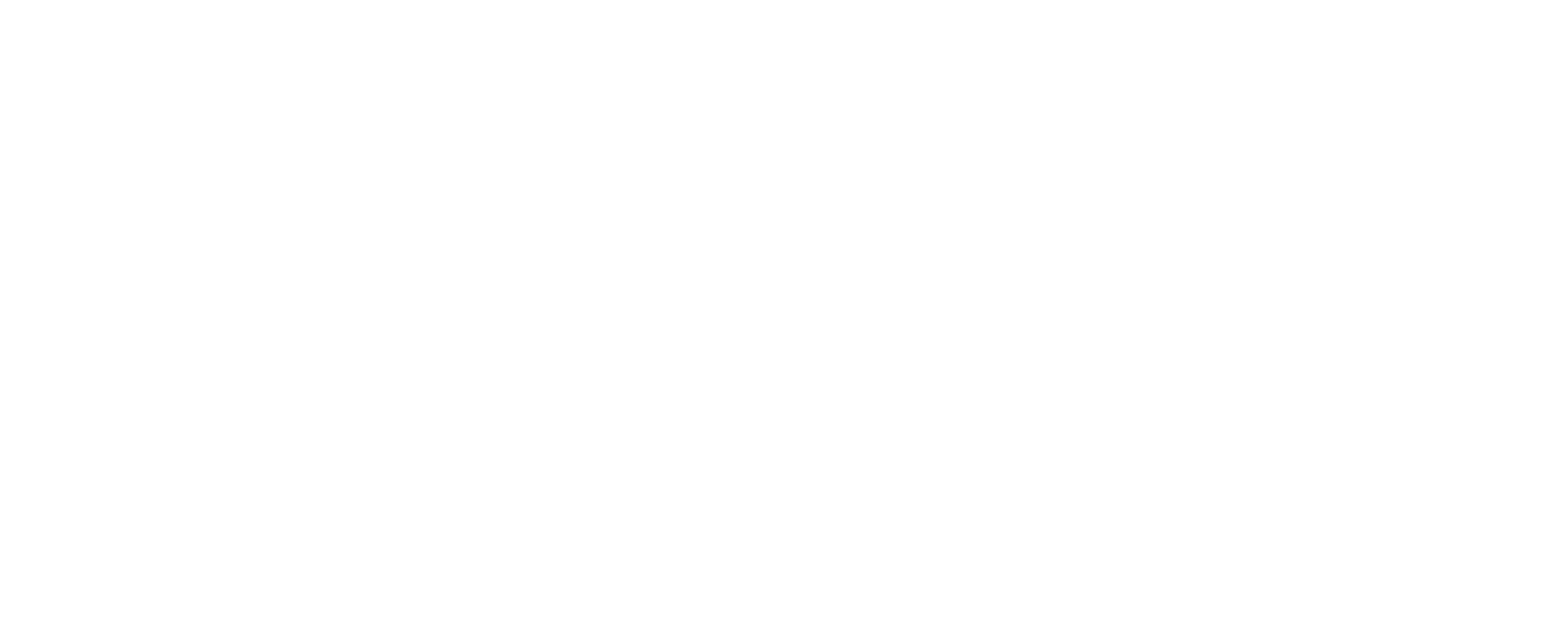 BONÈMA Restaurant Logo — Referenz Werbefotografie Veropalumbo Studio