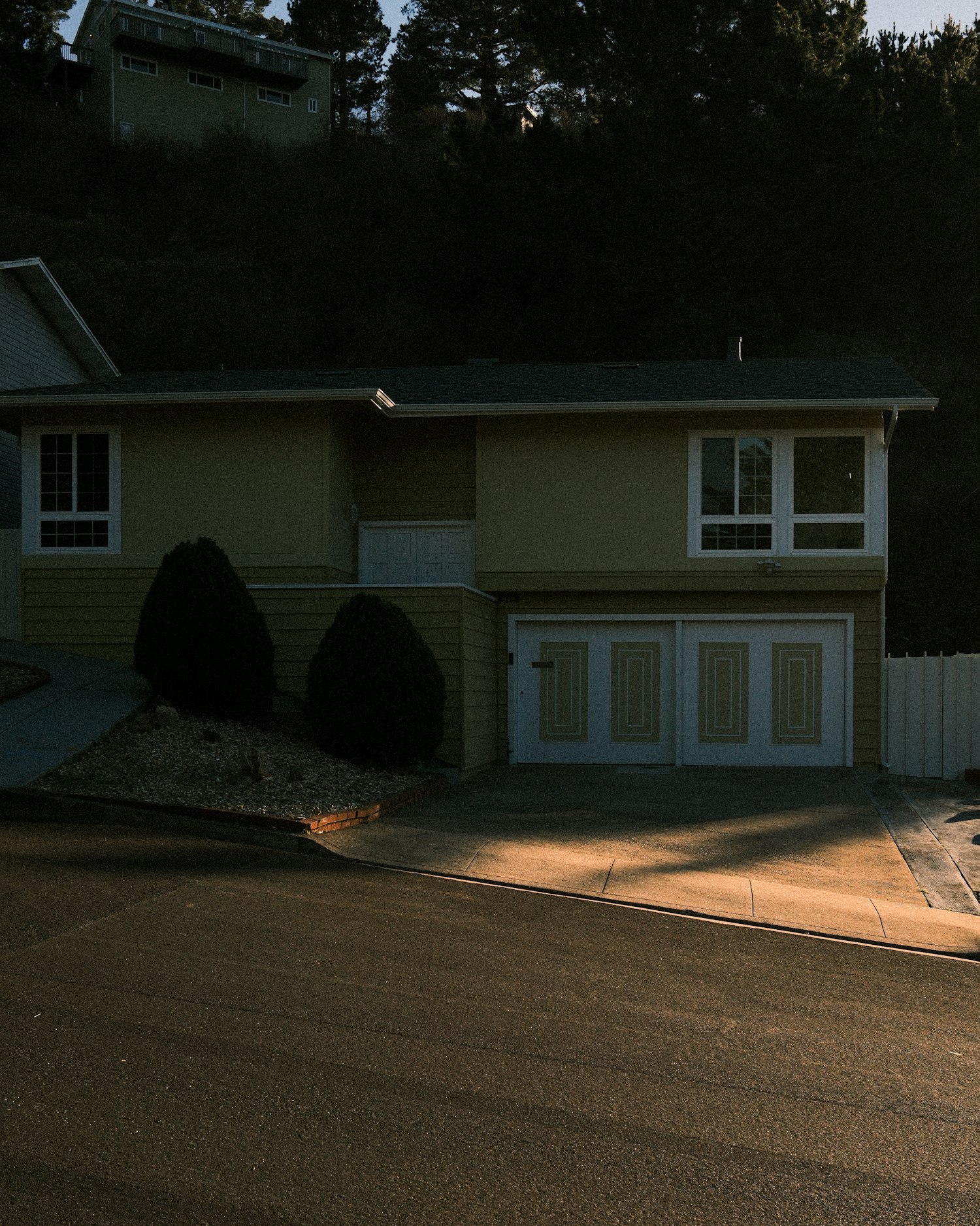 Suburban single-family home with a pitched shingle roof