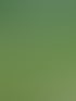 Hausmeisterservice Michelstadt | Ens Hausmeisterservice