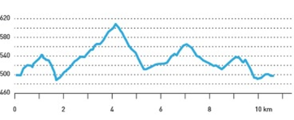 Höhenprofil-Diagramm über 10 km mit Höhen zwischen 460 und 620 Metern.