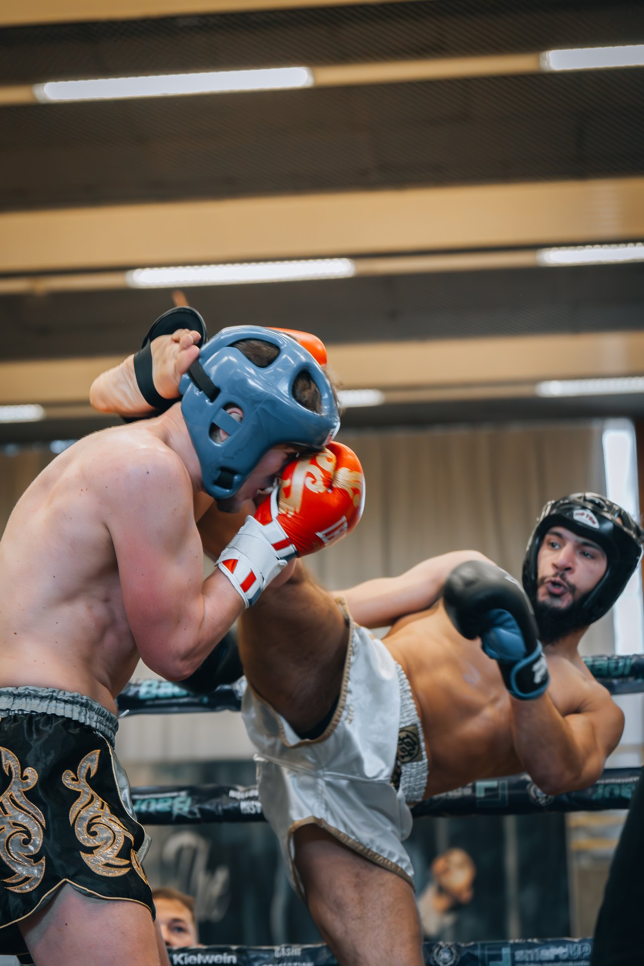 Zwei Boxer im Ring