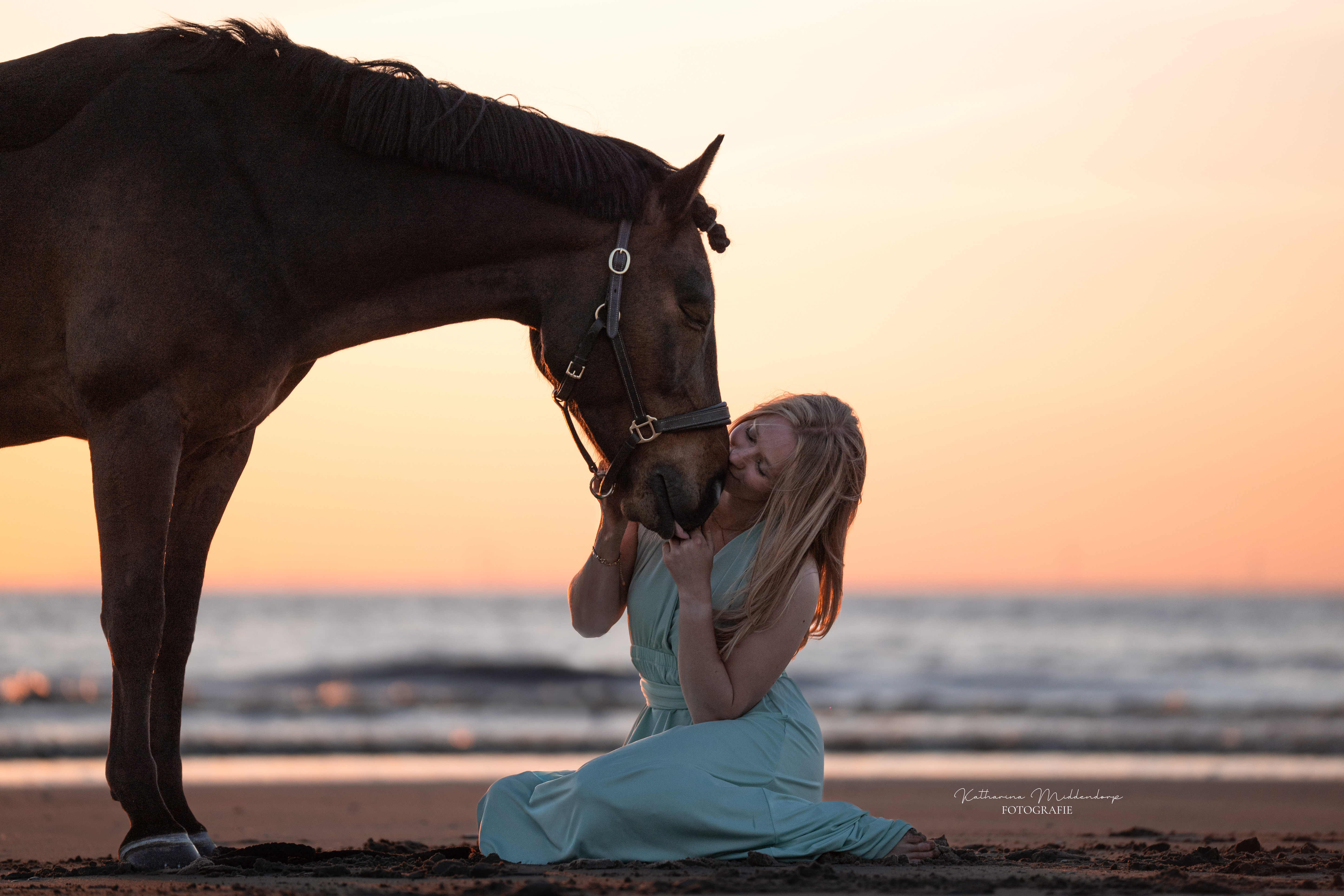 Pferdefotografie von Katharina Middendorp