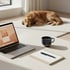 Arbeitsplatz mit E-Mail-Newsletter-Layout auf Laptop: Newsletter-Strategie, CRM und E-Mail-Marketing für Hundebranche