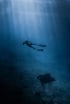 Ein Freediver und ein Manta im tiefen Blau