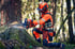 Forstarbeiter in oranger Schutzkleidung und Helm fällen einen Baum mit einer Motorsäge im Wald.