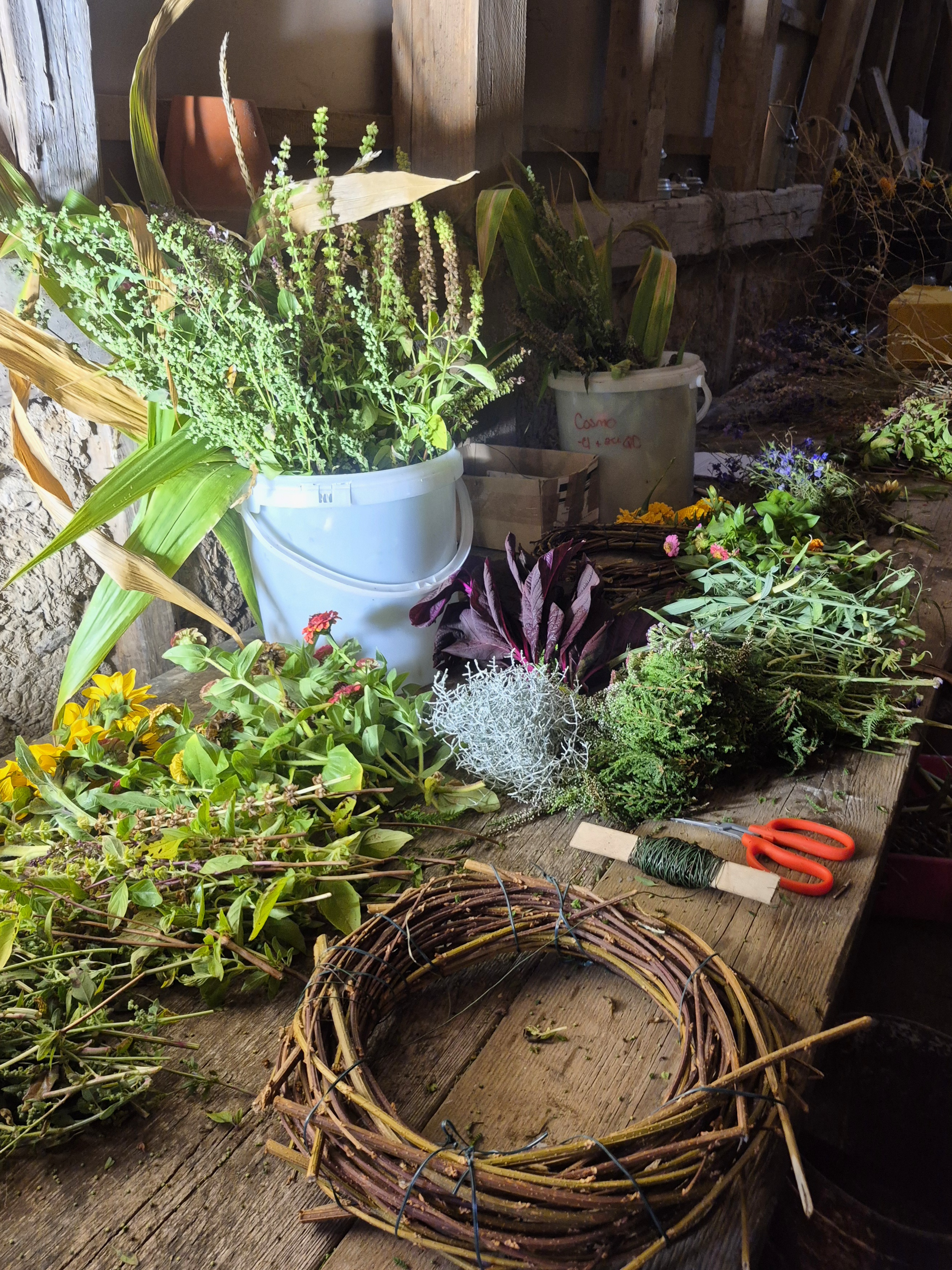 Deine Blumen selbst ernten