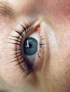Detailfoto eines professionellen Wimpernliftings mit natürlichem Schwung – Beauty Studio Zweibrücken-Wattweiler