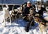 Karine Mastroleo mit ihrem Husky-Rudel in Lappland