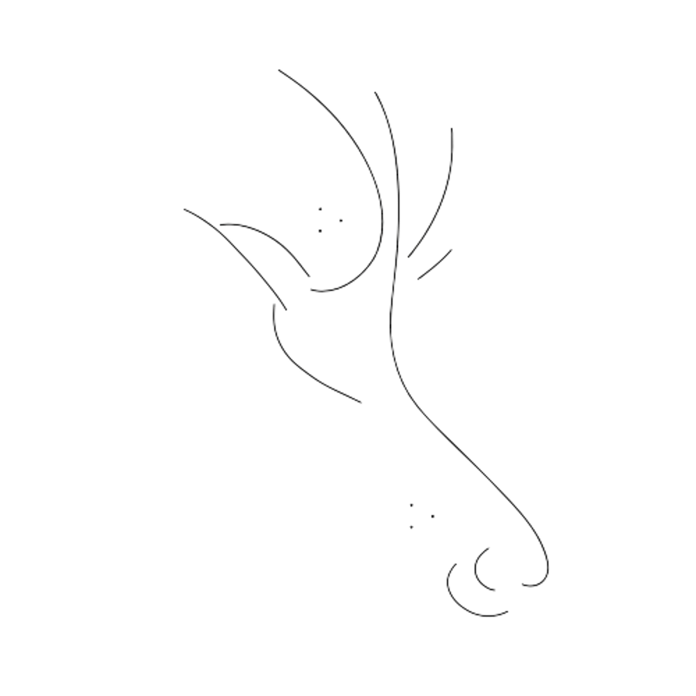 Stilisierte schwarze Linien, die abstrakt einen Vogel mit Schnabel und Schwanzfedern darstellen.