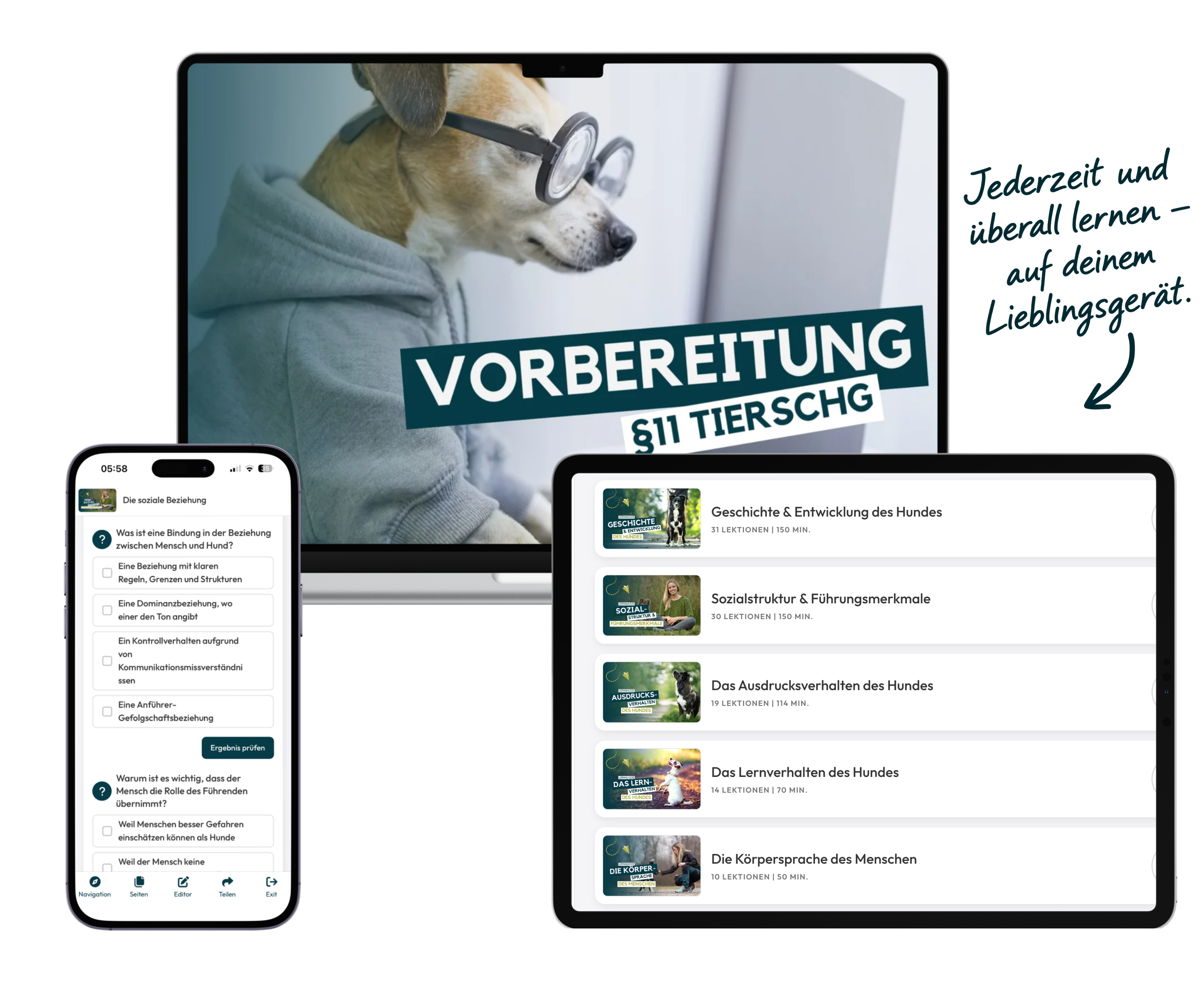 Das D.O.Q.-Lernquiz auf Laptop, Tablet und Smartphone