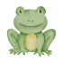 Ein grüner Frosch mit gelbem Bauch sitzt frontal und lächelt.