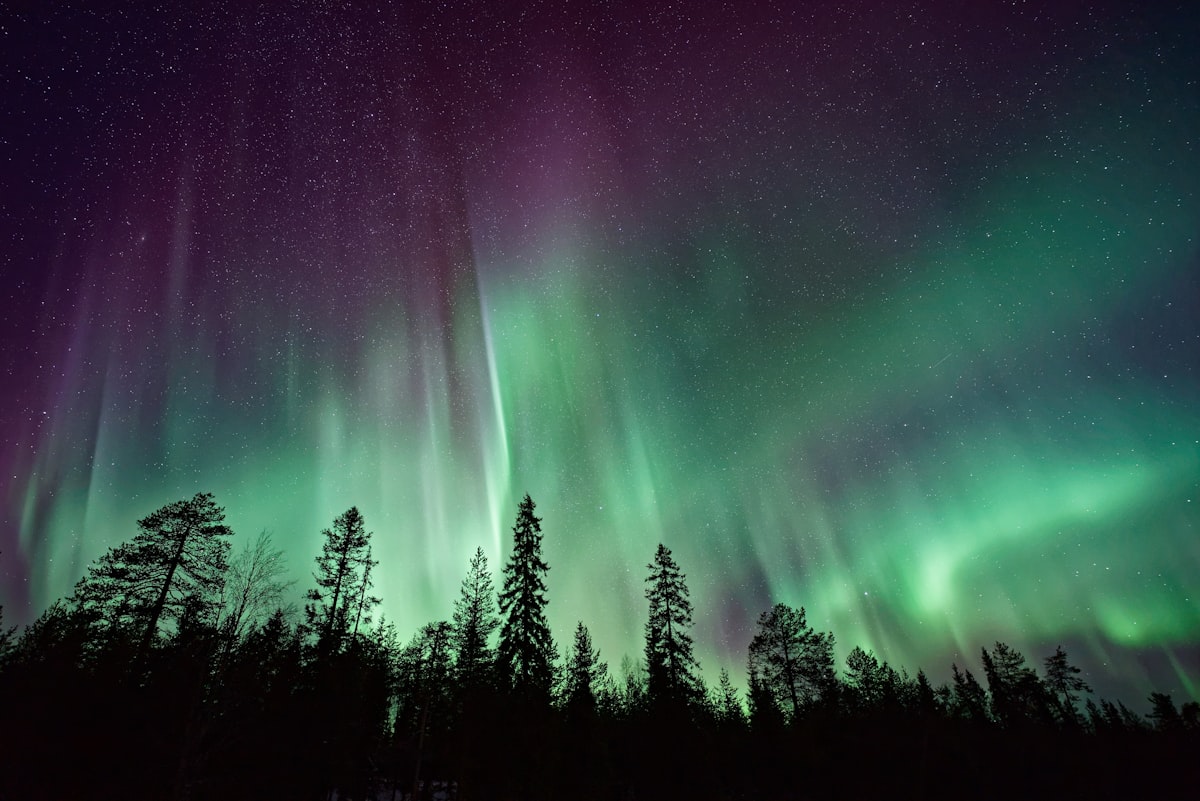 Polarlicht ueber verschneiter Landschaft