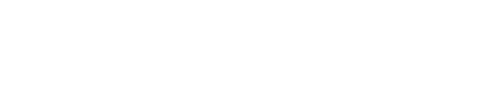 Logo Notfall- und Krisenmanager (NKM®)