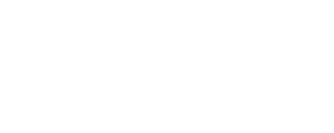 Textilpflege Maybach 13