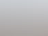 Schilfhalme am See im Nebel, weicher Horizont