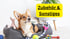 Ein lächelnder Mann macht ein Herzsymbol mit seinen Händen neben zwei Hunden; Text: "PRODUKTWELT".