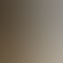 Visualisierung SILVA Innenraum