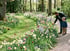 Vater und Kind betrachten bunte Frühlingsblumen wie Tulpen und Narzissen an einem geschwungenen Pfad im Park.