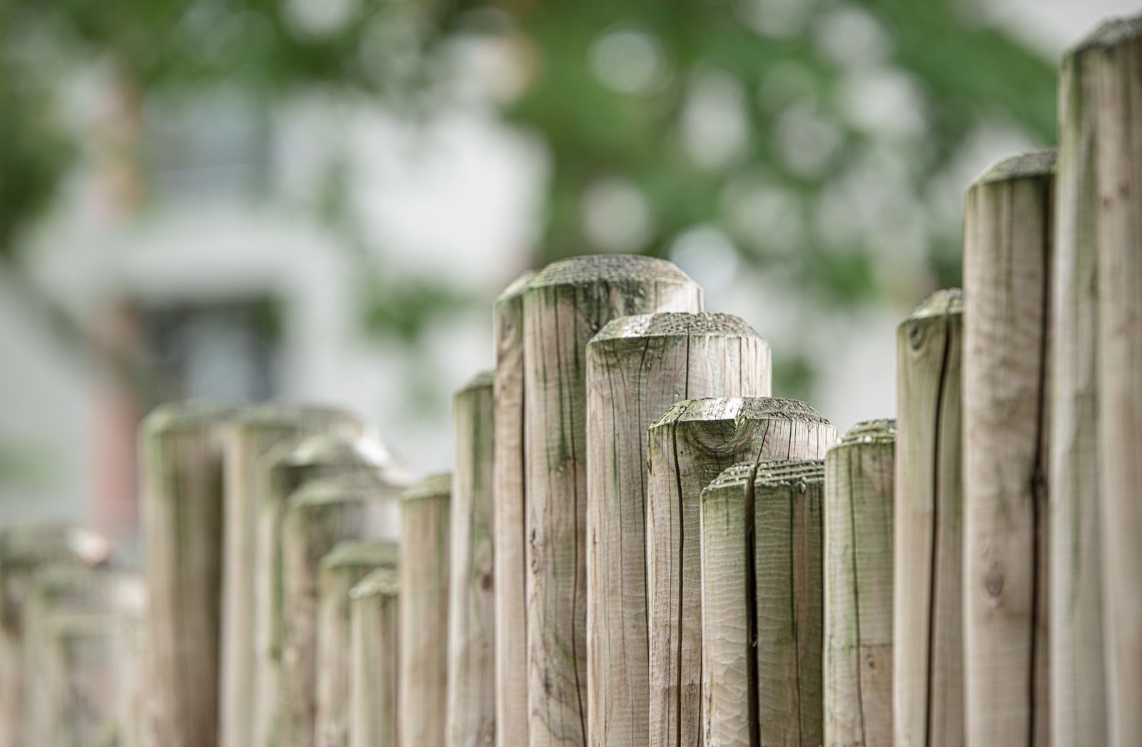 Wooden fence boards