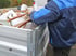Gartenpflege und Objektservice in Gifhorn | Gebrüder Kunz