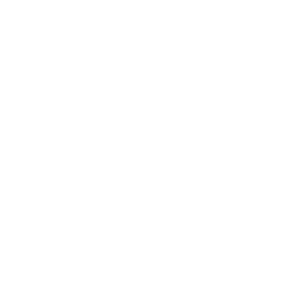 Co-Pilo Consuting