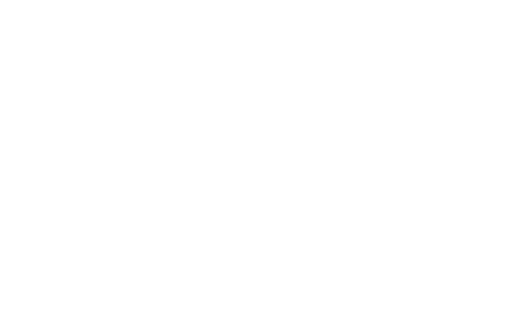Weißer Schriftzug "Hair DESIGN Sandra Aigner" auf dunkelgrünem Hintergrund.
