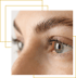Nahaufnahme eines grauen Auges mit betonten Wimpern und einer präzise geformten Augenbraue.