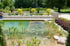 Naturnaher Schwimmteich mit Wasserpflanzen, Seerosen und Gabionenwänden in einer parkähnlichen Gartenanlage.