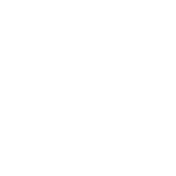 Veraltete Webseite Icon